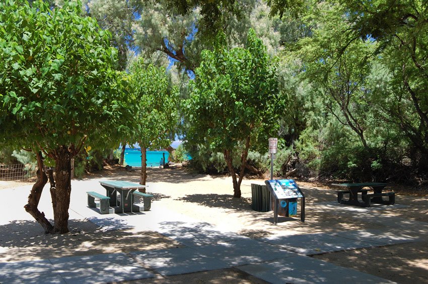 Picnic area