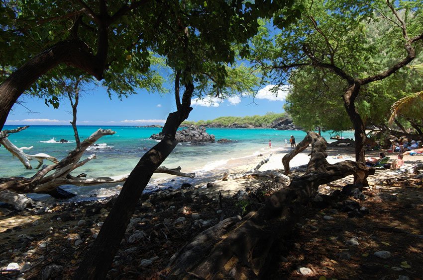 Plenty of shade on the beach