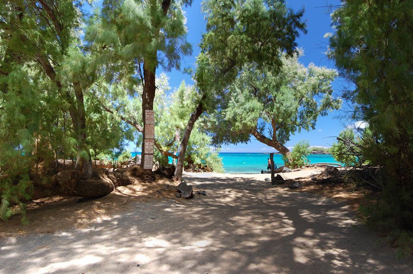 Sandy path to the beach