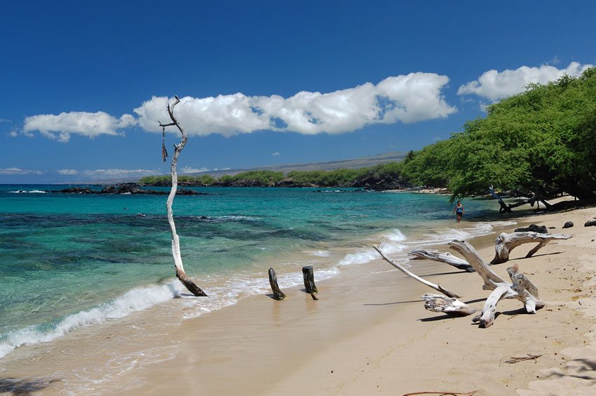 Scenic Kohala beach