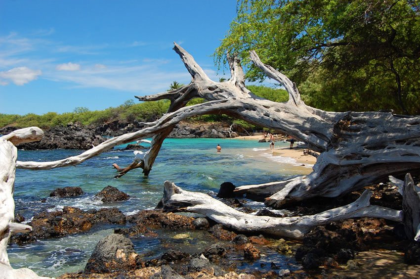 Waialea Beach view