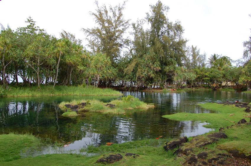 Beach park pond