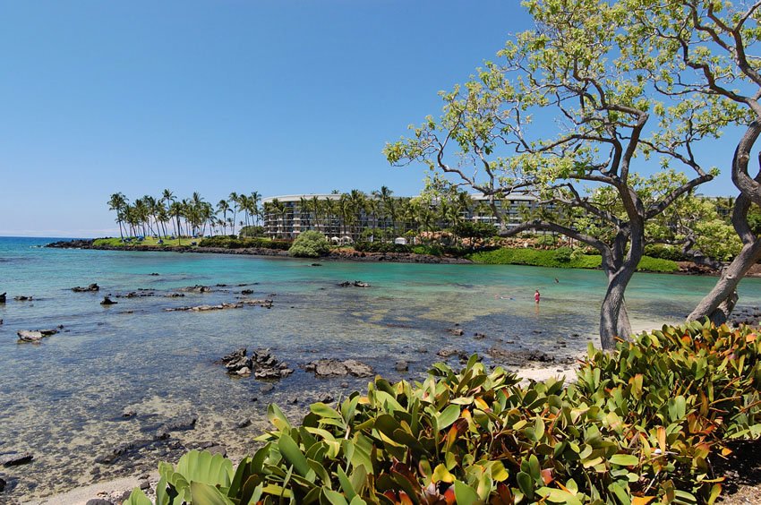 Scenic Kohala beach