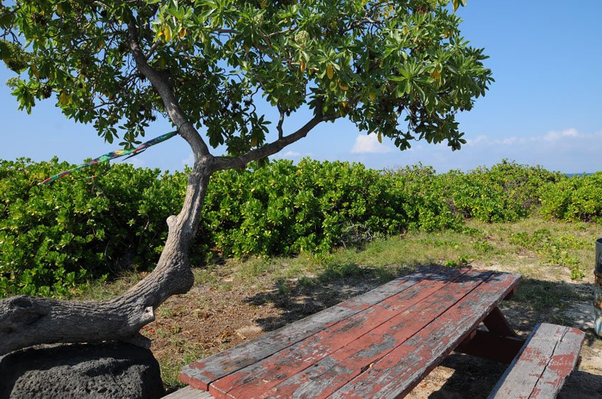 Picnic area