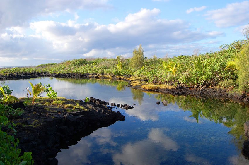 Wai'opae Tide Pools