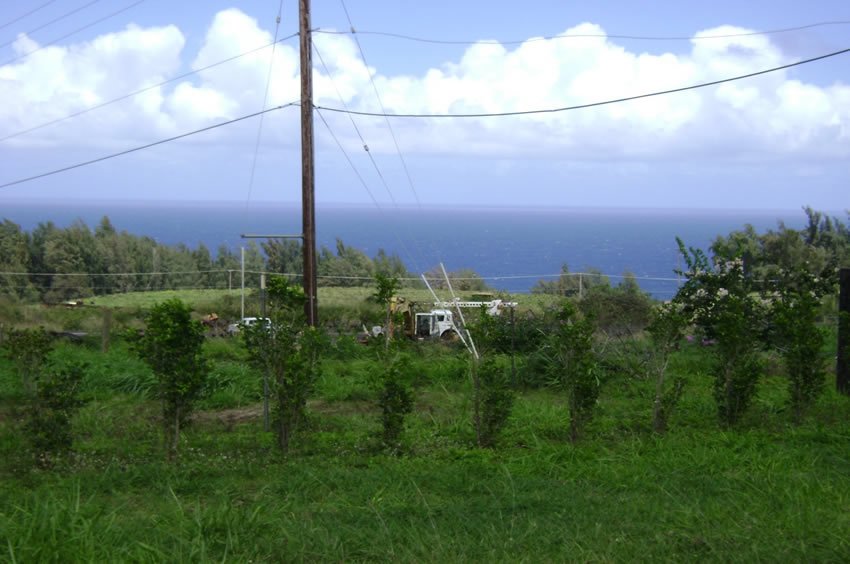 O'okala landscape