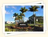 Pahoa