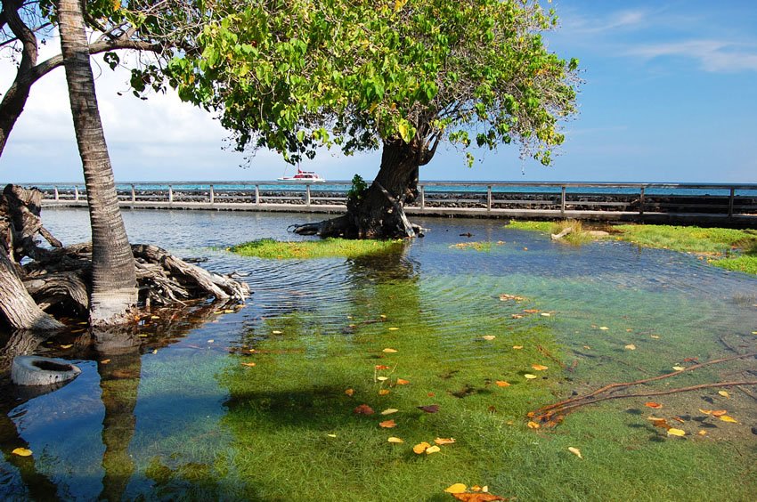 Kalahuipua'a Fishponds