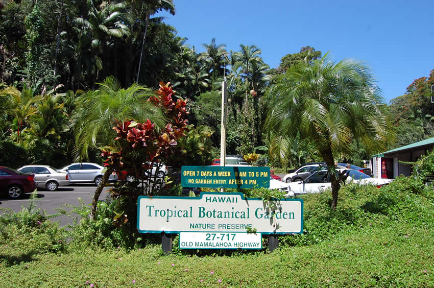 Hawaii Tropical Botanical Garden