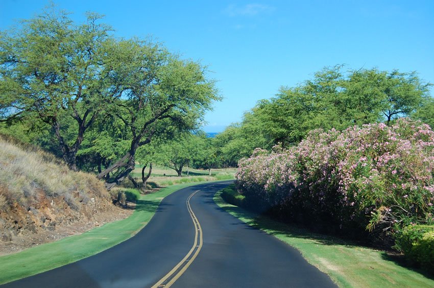 Kohala Coast scenic drive