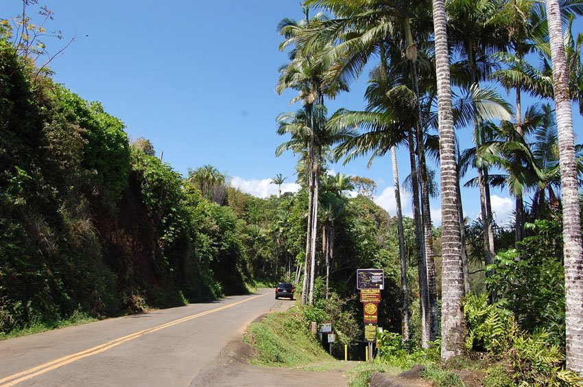 Old Mamalahoa Highway