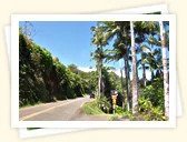 Old Mamalahoa Highway