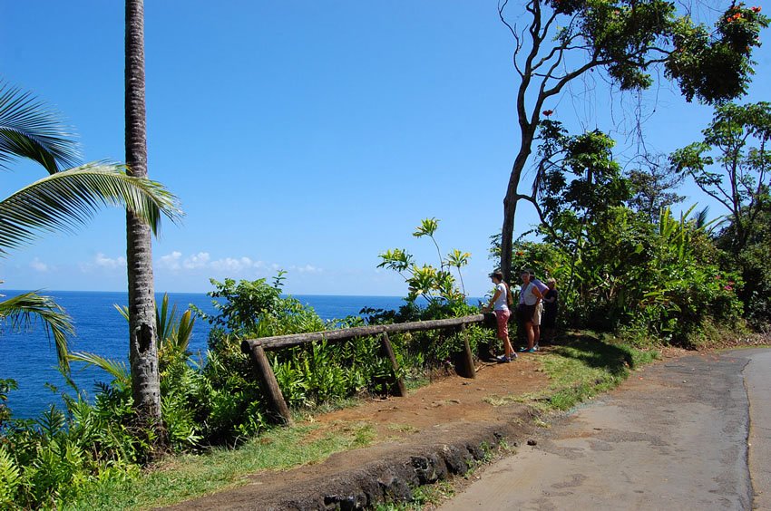 Onomea Bay lookout