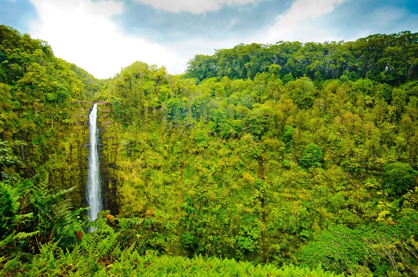 Lush waterfall