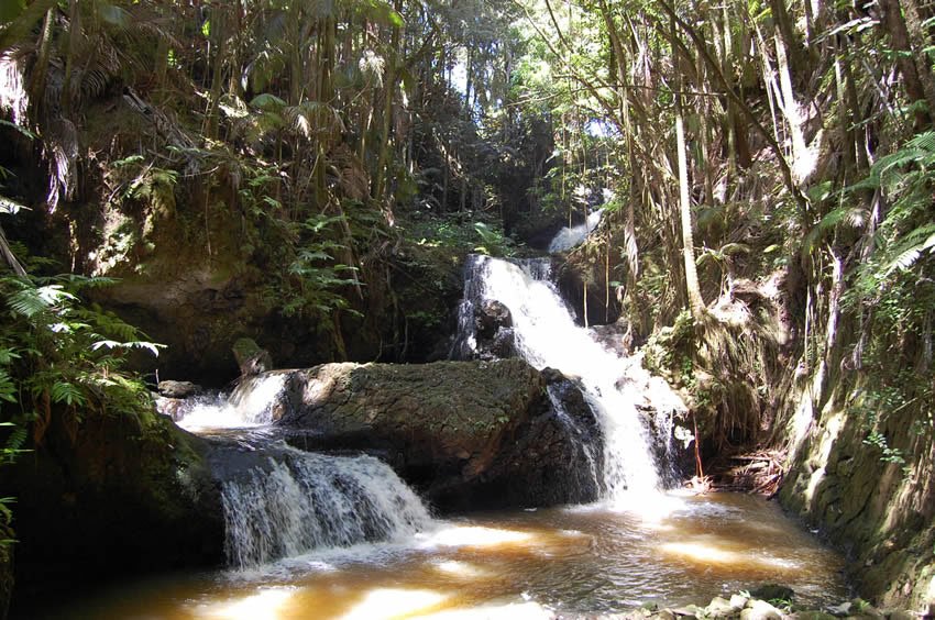 Onomea Falls