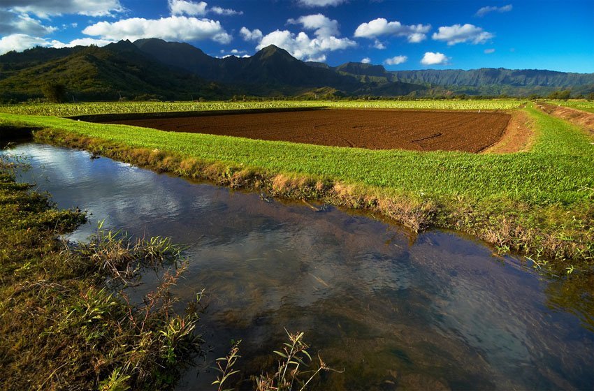 River in tato field