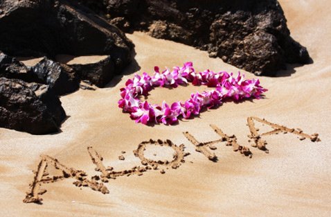 Aloha Lei