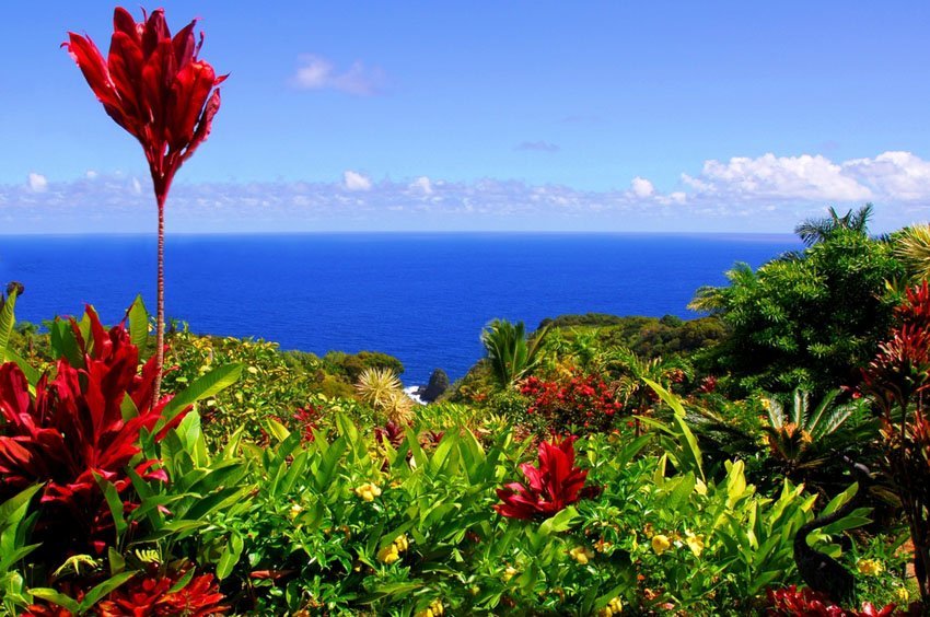 Garden of Eden, Maui