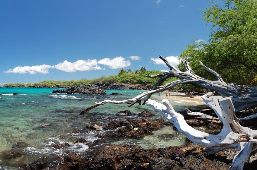 Waialea Beach (Beach 69), Big Island