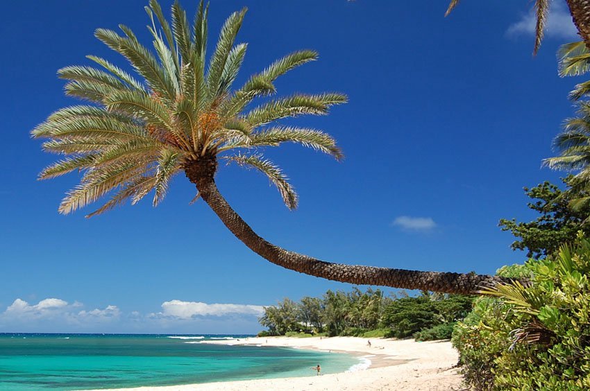 Sunset Beach, Oahu