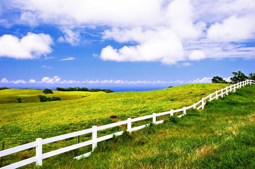 Big Island landscape