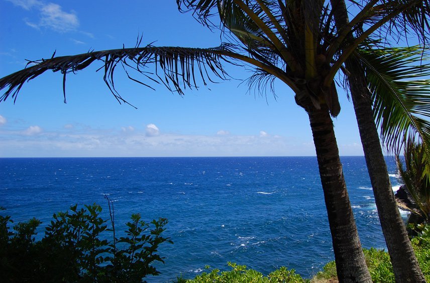 Scenic Lookout at Kehena Beach