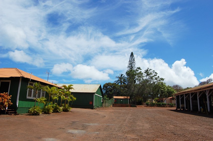 Molokai coffee farm