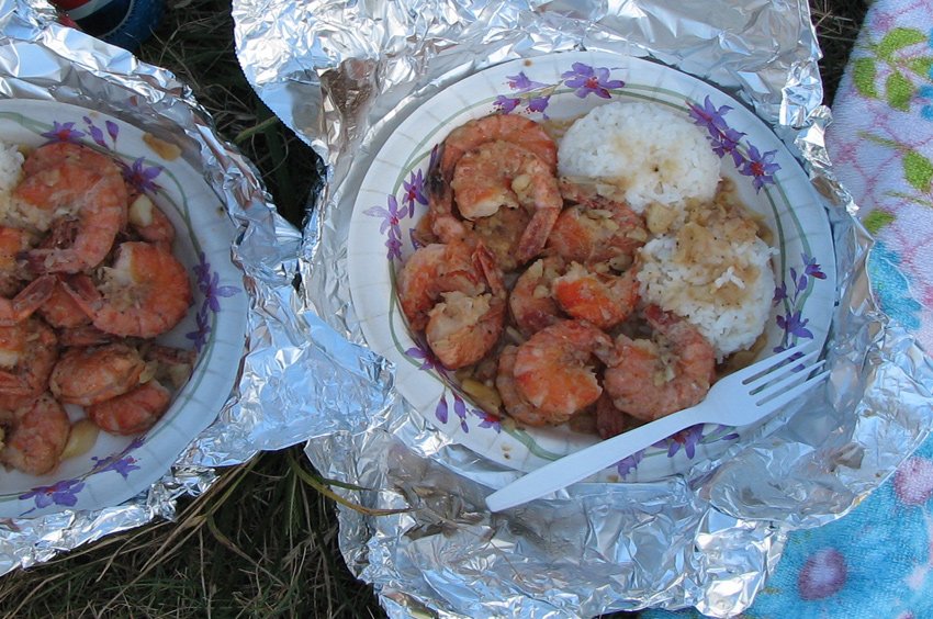 Hawaiian plate lunch with shrimps