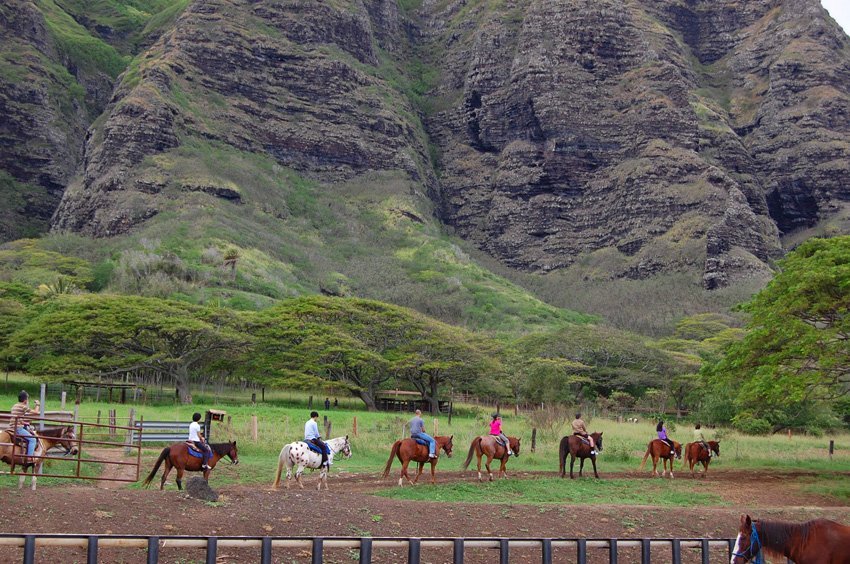 Horseback riding tour