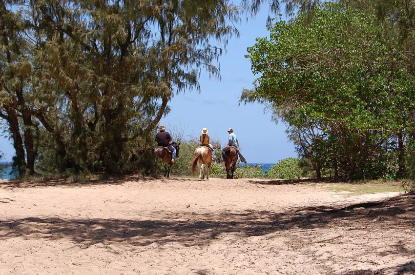 Hawaii Horseback Riding