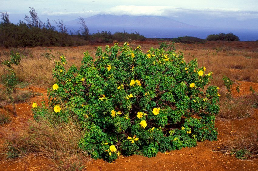 Kahoolawe