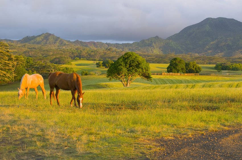 Kauai scenery