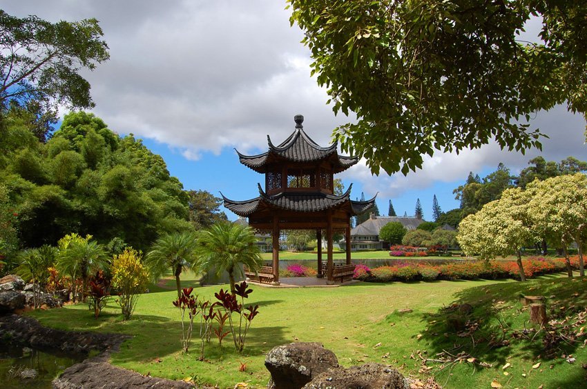 Beautiful Lanai landscape