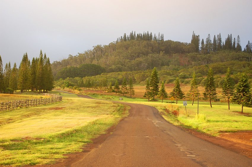 Lanai landscape