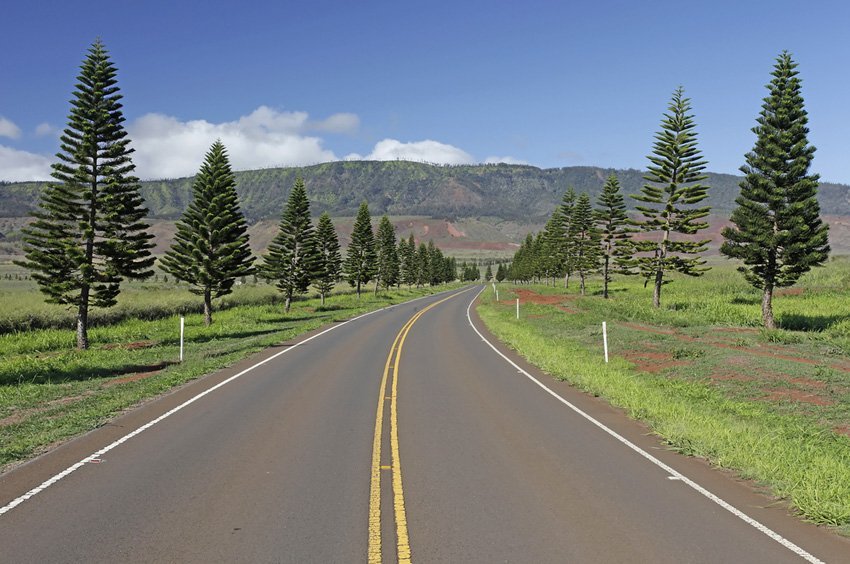 Palawai Basin Road