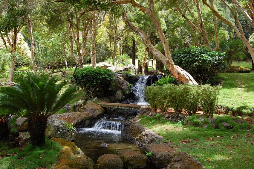 Lanai landscape