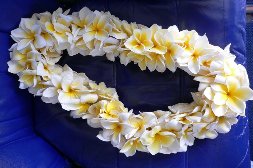 Hawaiian Flower Lei