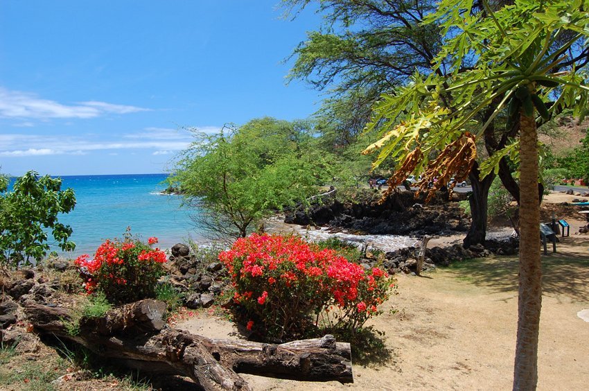 Makena Landing Beach