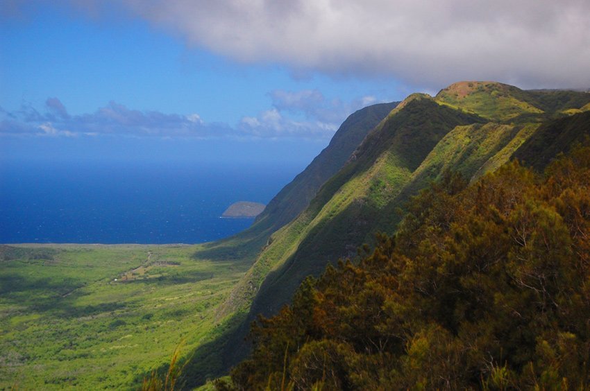 Molokai sea cliffs