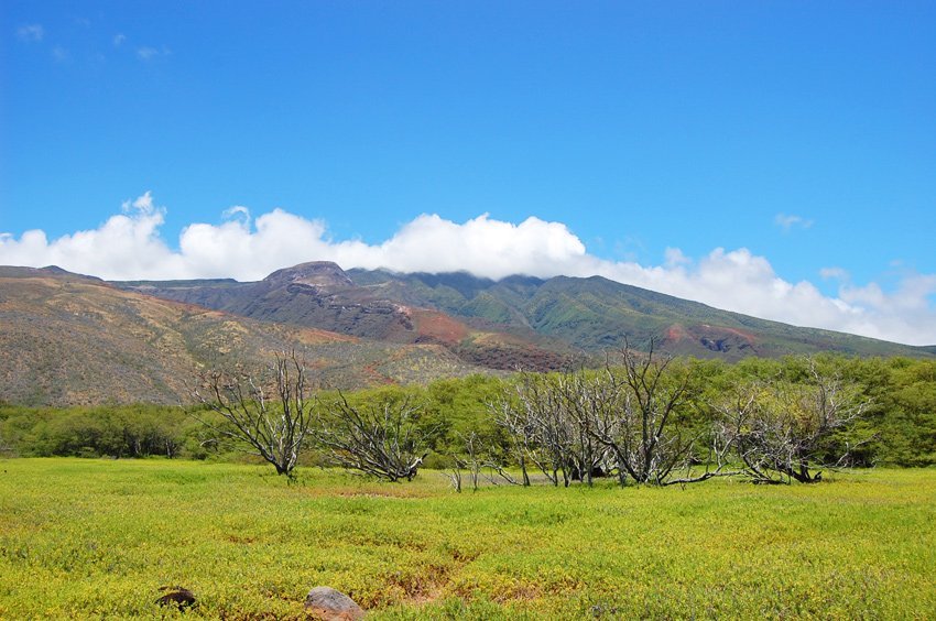 Molokai landscape