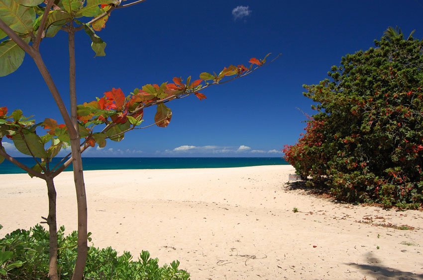 Banzai Pipeline Beach