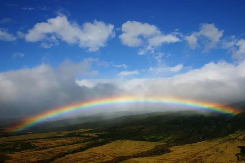 Hawaiian Countryside