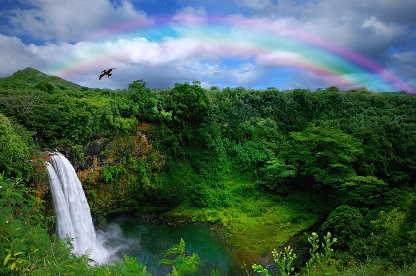 Kauai waterfall