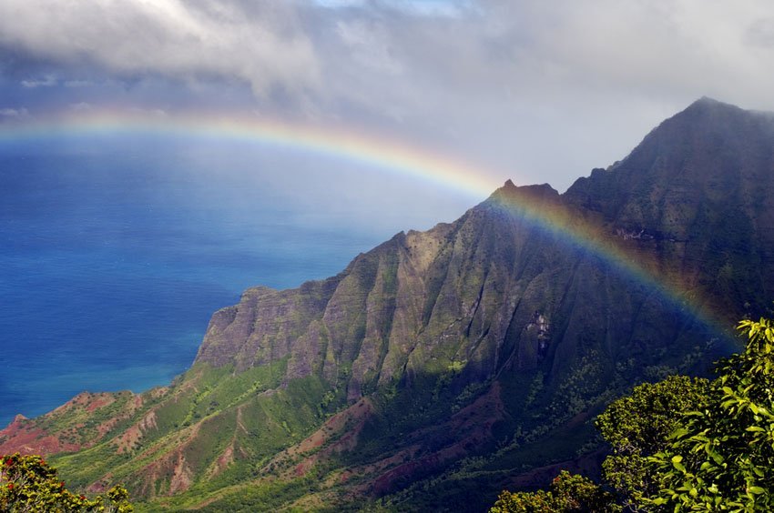 Hawaiian Rainbows