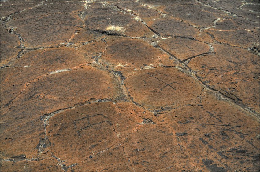 Puako Petroglyphs on Big Island