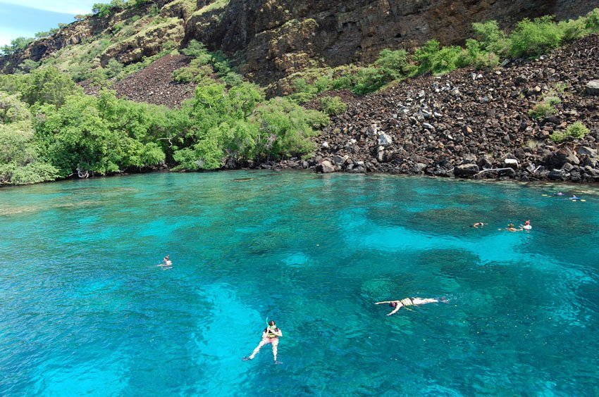 Kealakekua Bay snorkeling