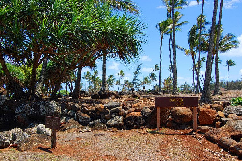 Ancient Hawaiian site