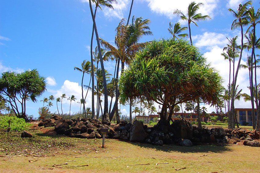 Located at Lydgate Beach Park