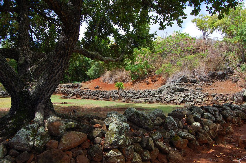 Hawaiian ancient site