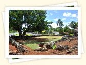 Holoholoku Heiau